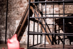 20181010_FC_Polaris-10